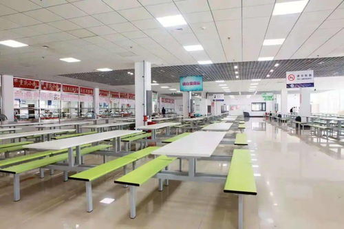 畢業(yè)季·起航 致親愛的長電，義烏信息技術(shù)咨詢服務(wù)的我們已出發(fā)